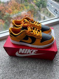 Nike dunk low Retro Goldenrod Size 9.5 