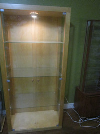 Display Cabinet (Lighted)
