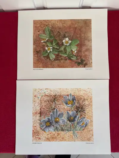 New ready to frame 14”x11”, View more
