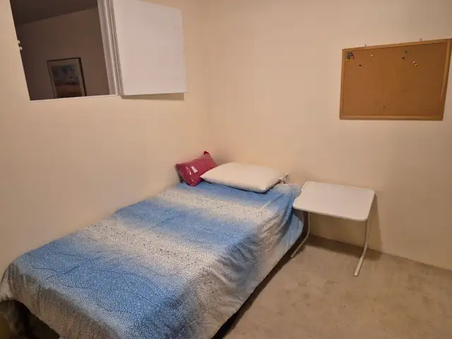 Room (basement), bathroom facilities and living room amenities. in Short Term Rentals in Ottawa - Image 3