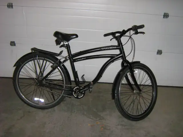 2 Trek Bicycles in Road in Winnipeg - Image 4