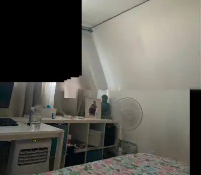 Room for rent, have pets