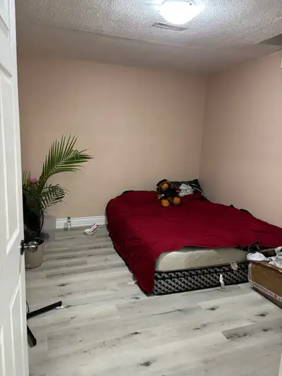 Shared Room for rent