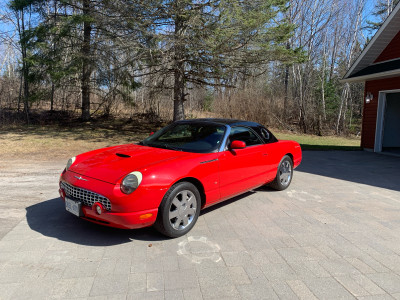 Thunderbird Convertible 