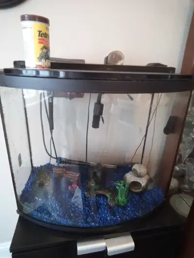 Fish tank fish aquarium , View more