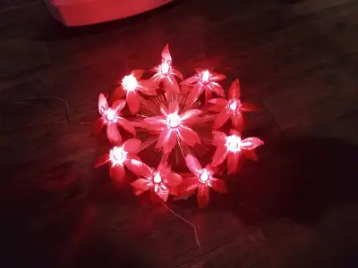 Vintage Poinsettia Light Up Wreath, View more