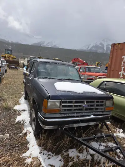 Too many projects and not enough time. Both Bronco II's are 98% rust-free. -XLT is fully loaded runn...