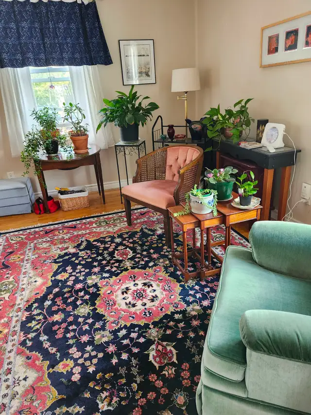 Comfortable large room for rent to single person  Nov 1st in Room Rentals & Roommates in Kingston - Image 3