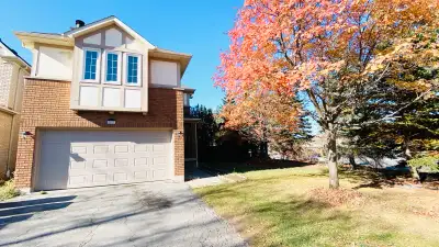 2 bed.1 bath . 1 parking legal basement in Mississauga