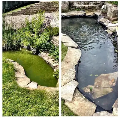 Pond Cleaning | Maintenance, View more