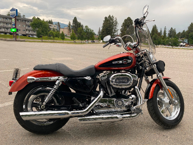2011 Harley Davidson Sportster 1200 in Street, Cruisers & Choppers in Cranbrook - Image 4