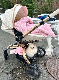 High Landscape Baby Stroller 3 in 1