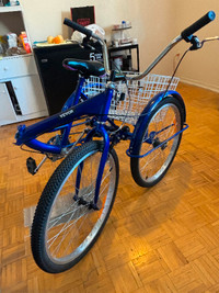 New blue Vevor adult tricycle.