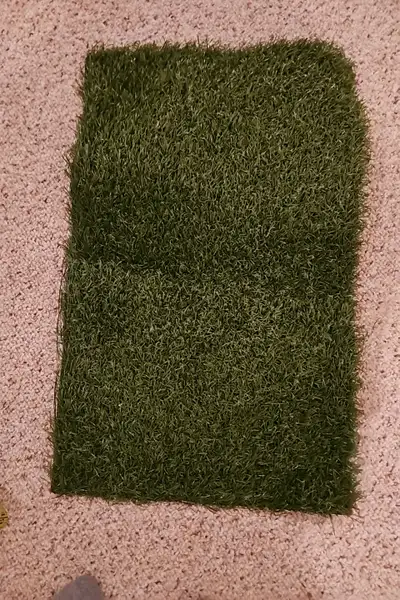Small Grass Mat for Training Dogs, View more