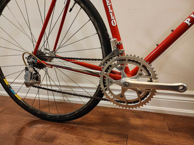 55cm Pinarello Treviso Vintage Road Bike Campagnolo  in Road in City of Toronto - Image 4