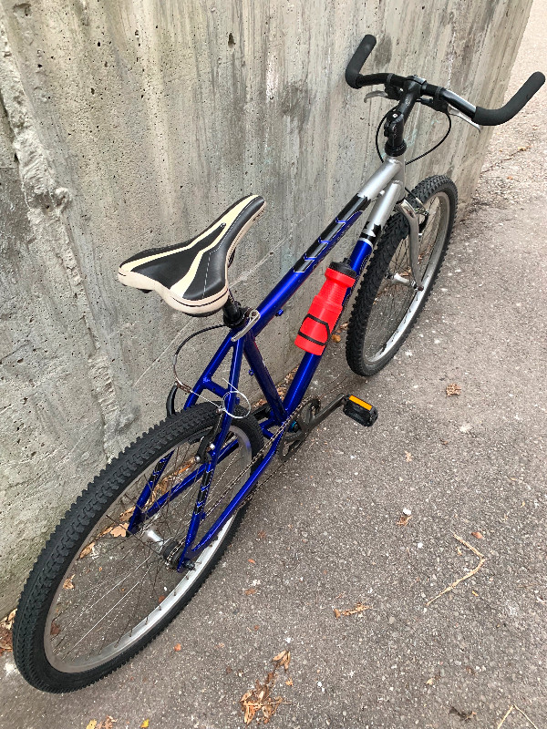 Large custom built single speed MTB/gravel/city bike w/bullhorn