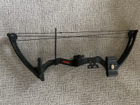Youth bear compound bow