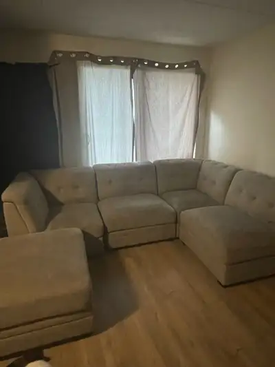 free dog couch, View more