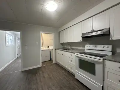 Renovated 1 bedroom with washer and dryer. New kitchen, appliances, floors, windows, bathroom, all r...