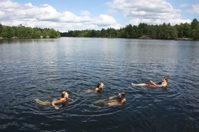 ►►AMAZING WATERFRONT COTTAGE - SWIM FISH RELAX HERE◄◄ in Ontario in Canada - Image 7