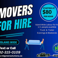 Move, Deliver, Pick up & Furniture Assembly 
