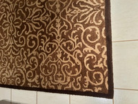 Beautiful Brown/Beige Area Rug