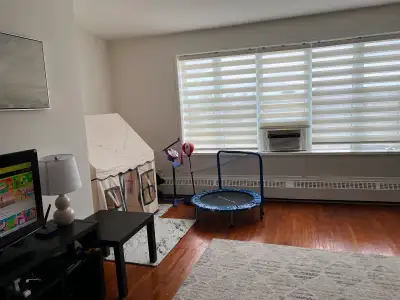 Large newly renovated 2 bedroom apartment above store.