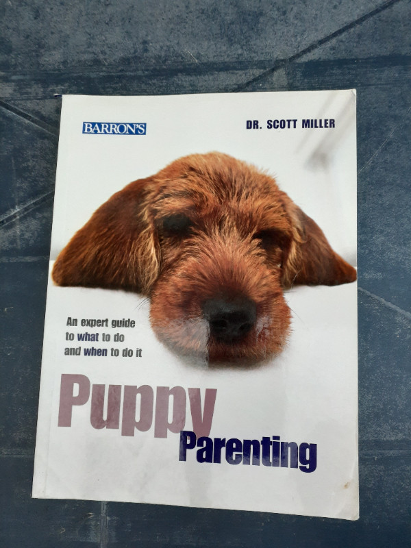 Puppy Parenting: An Expert Guide to What to Do and When to Do It in Other in City of Halifax