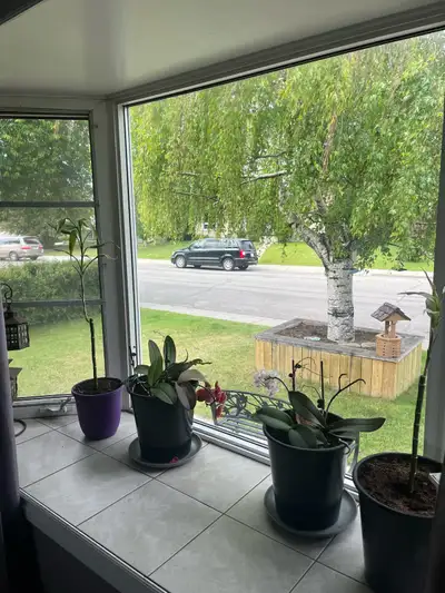 I have a room for rent if anybody is interested dogs are negotiable with a pet fee nonrefundable The...