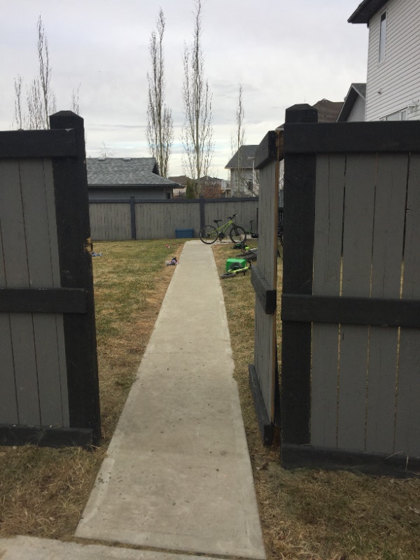 seperate entrance walkout basement in beaumont Long Term Rentals