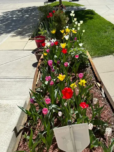 Extremely neat and tidy 2 BR legal basement suite, self contained with full bathroom, kitchen, laund...