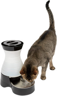 Dog and Cat Water System with Stainless Steel Bowl Small 64 oz.