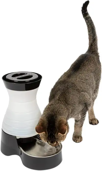 Dog and Cat Water System with Stainless Steel Bowl Small 64 oz., View more