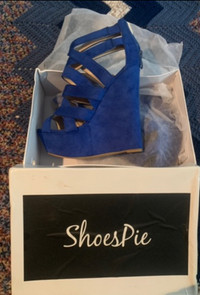 Size 10 blue Suede shoes