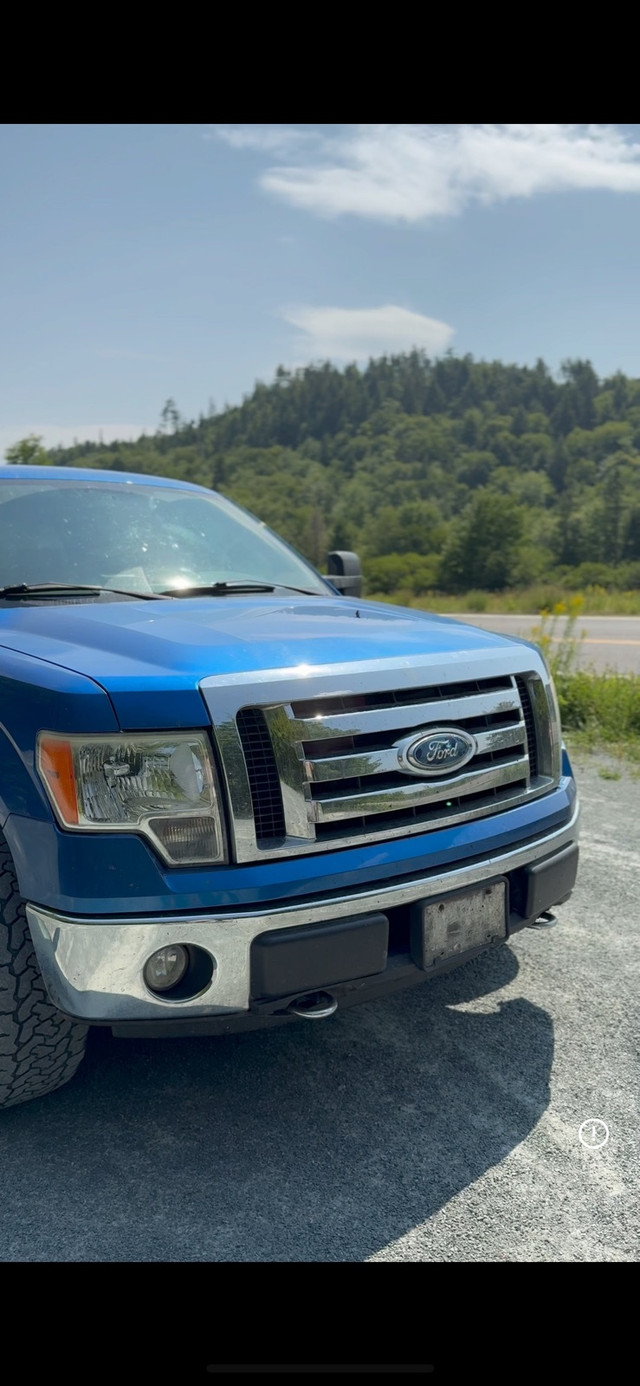 2009 ford f150 xlt in Cars & Trucks in Truro - Image 4