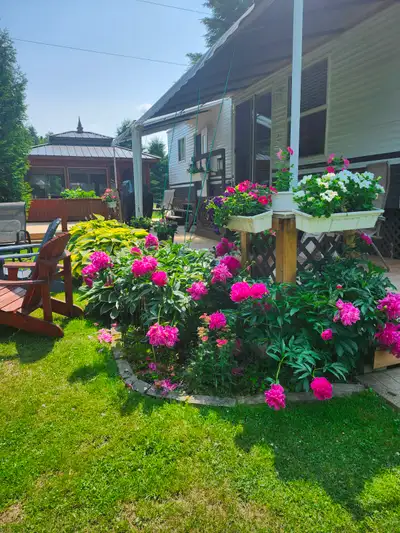 Placé sur un site exceptionne; roulotte Satellite 3910CF avec plus de 20 000 $ en option dont planch...