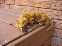 Bella the Rat - mohair rat collectible toy - artist made