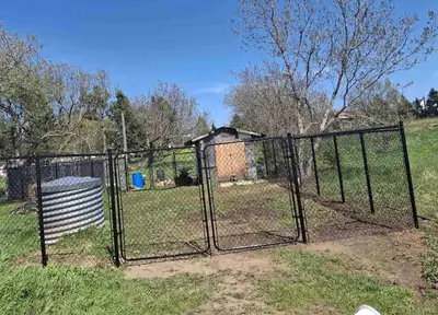 Dog waste clean up , View more