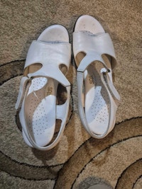 SAS Sandals Napanee Kingston Area Preview