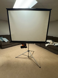 Projector screen, portable