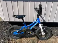 Schwinn kids 12" bike