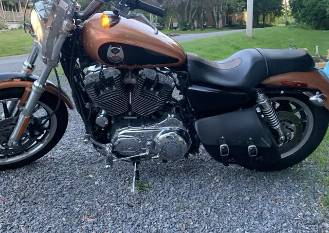 2008 Harley Davidson Sportster 1200 in Sport Touring in Napanee - Image 5
