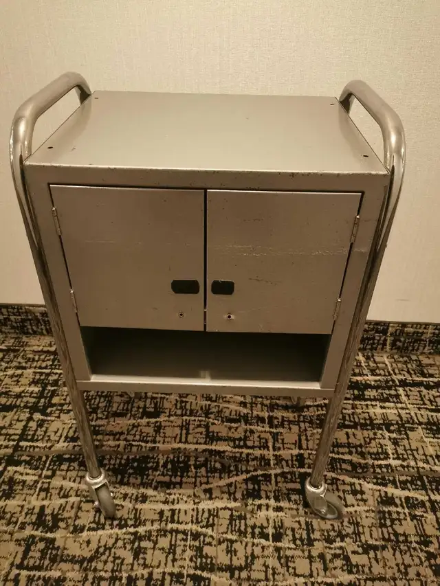 Rolling Cabinet in Other in City of Toronto - Image 3