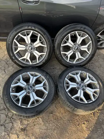 OEM from 2021 Kia Seltos. Good for Kia Soul, Optima or Hyundai Sonata, Kona and other cars with same...