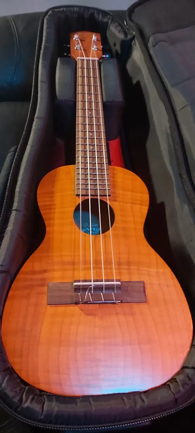 Ukulele + Padded Bag (Have several) in String in Lethbridge - Image 2