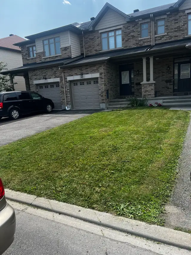 grass cutting and lawn care545241978153226241