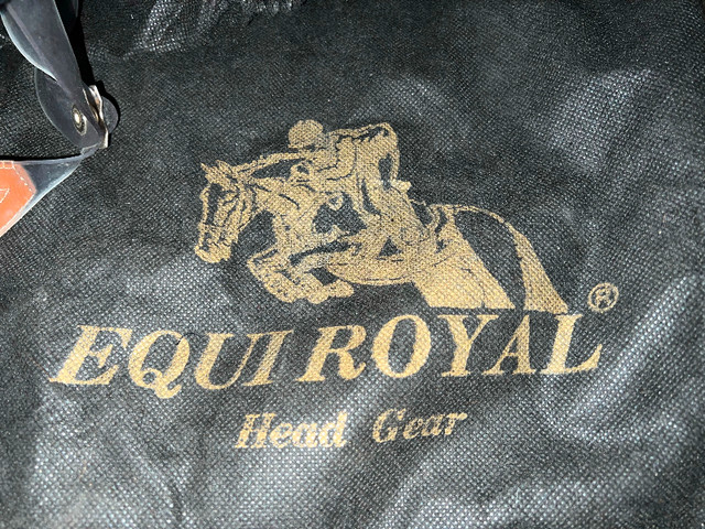 EQUESTRIAN HORSE RIDING HELMET - LOOKS UNUSED in Equestrian & Livestock Accessories in Mississauga / Peel Region - Image 2