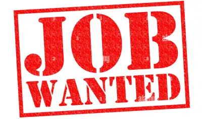 Night job needed, View more