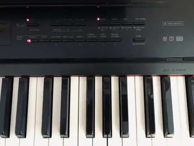 Gorgeous Digital Piano, 88 Keys Fully Weighted in Pianos & Keyboards in Vancouver - Image 8