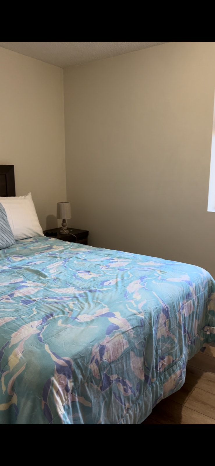 Fully furnished downtown two bedroom Saskatoon 5